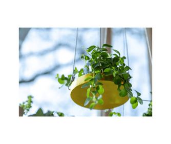 Esschert Design Akasztós Növényltál, Arany, Kerek, S