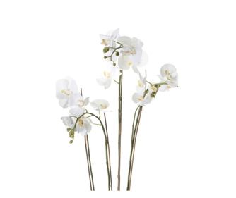 Umetna orhideja Phalaenopsis Emerald z mahom, bela, 90 cm