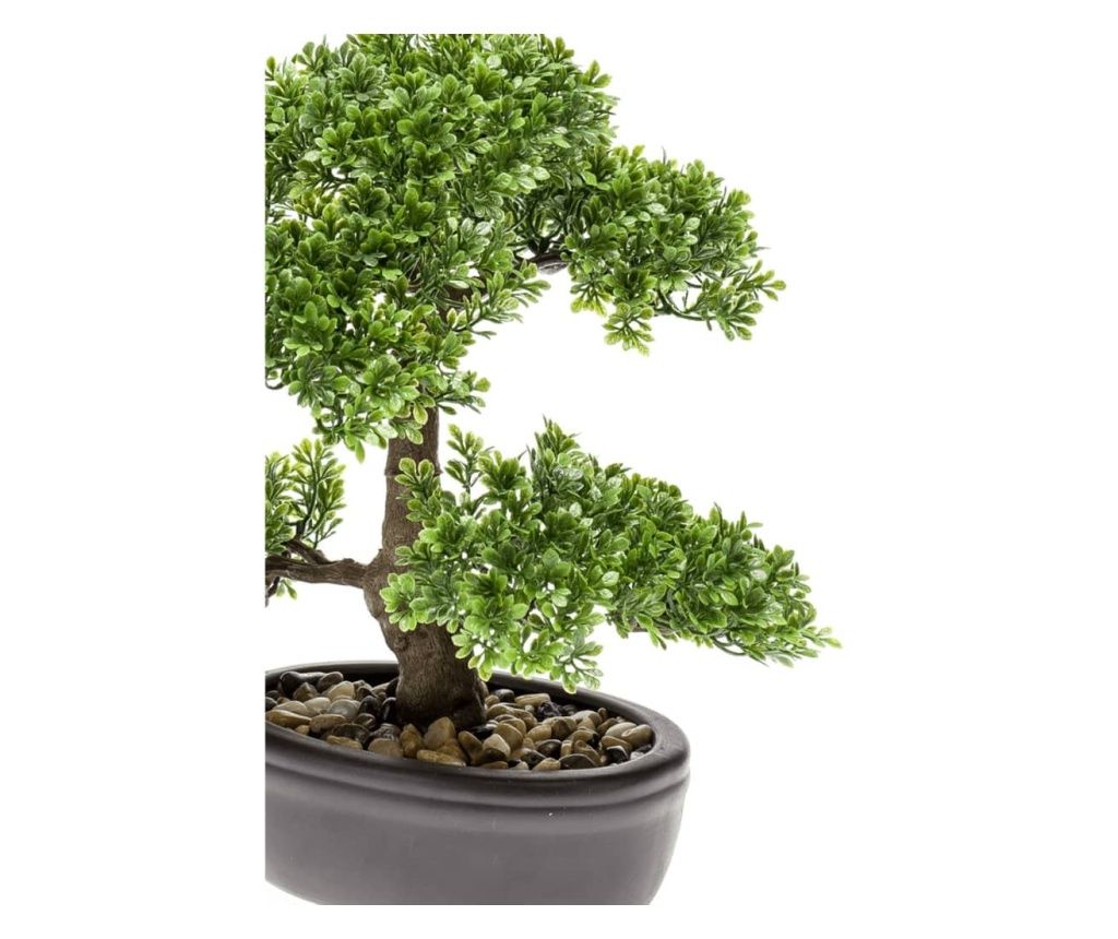 Emerald mini bonsaj Ficus, zelen, 32 cm 420002