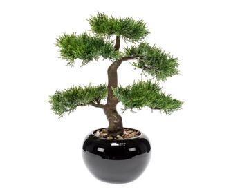 Emerald umetni bonsaj cipresa, zelena, 34 cm 420003