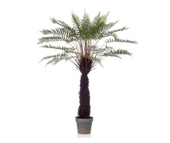 Emerald Dicksonia umetni drevesni praprot, 125 cm, v loncu