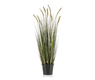 Emerald Jesenski Muhar, Plastični Lonček, 90 cm