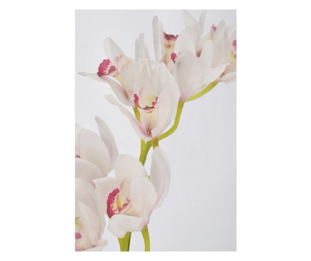 12 db Mű orchidea szett 20x10x82 cm