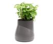 DesignNest Öntöző Virágtartó, Nagy, Szürke