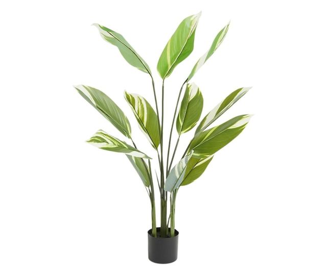 Mesterséges Calathea növény 118 cm, tarkalevelű zöld levelekkel, valósághű megjelenés, beltéri használatra, fekete cseréppel egy