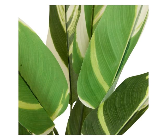 Mesterséges Calathea növény 118 cm, tarkalevelű zöld levelekkel, valósághű megjelenés, beltéri használatra, fekete cseréppel egy
