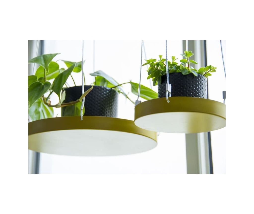 Esschert Design Akasztós Növényltál, Arany, Kerek, S - 6