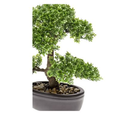 Emerald mini bonsaj Ficus, zelen, 32 cm 420002