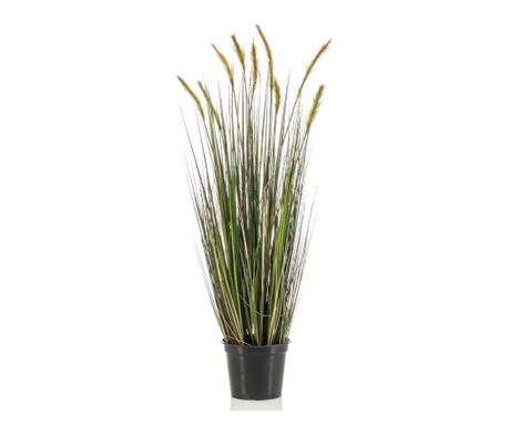 Zelena Jesenska Trava Panik, Plastični Lonac, 90 cm