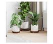Стол за растения 3 pcs Кафяво Махагоново дърво thumbnail 2