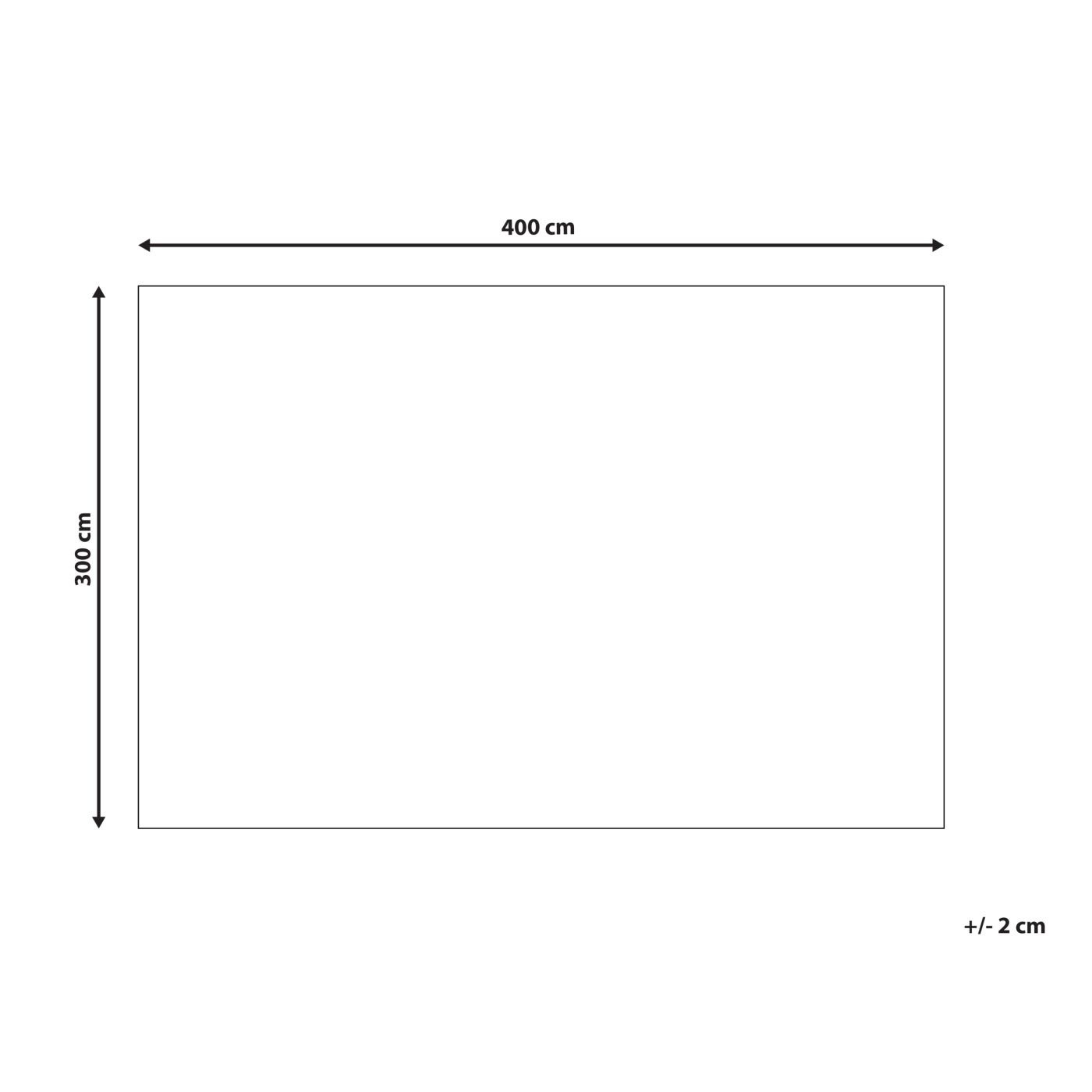 Szőnyeg NAKUS Világosbézs 300 x 400 cm - 3