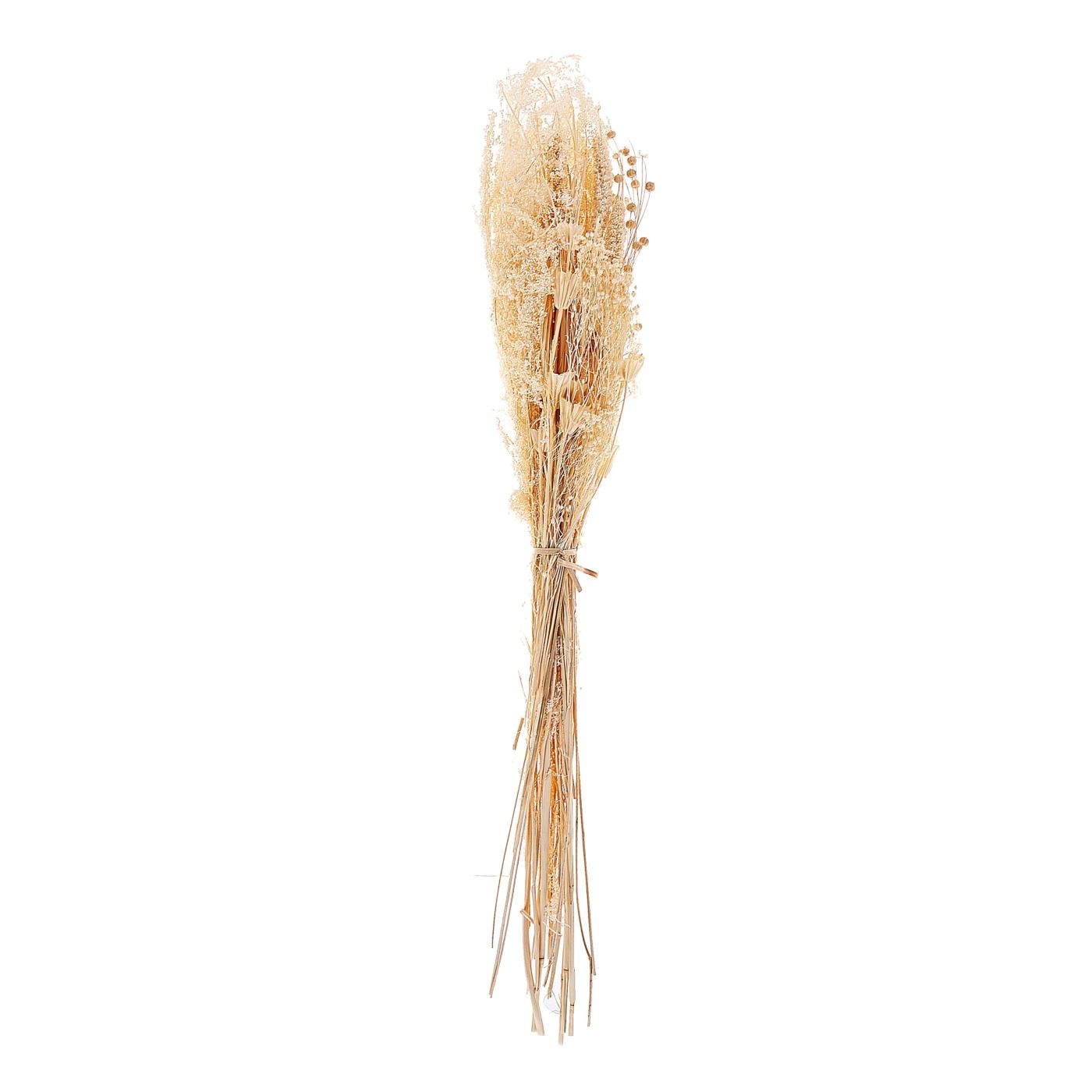 Szárított virágcsokor BRUNETE 65 cm Természetes - 2