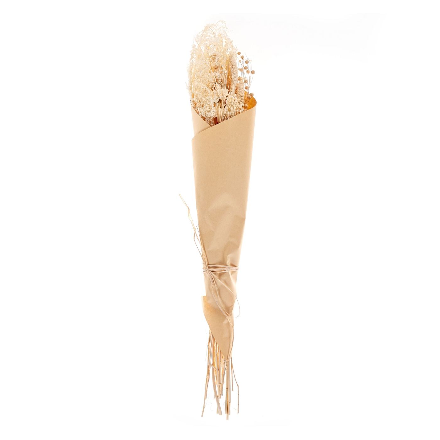 Szárított virágcsokor BRUNETE 65 cm Természetes - 4