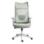 Irodai szék BARD Zöld thumbnail 4