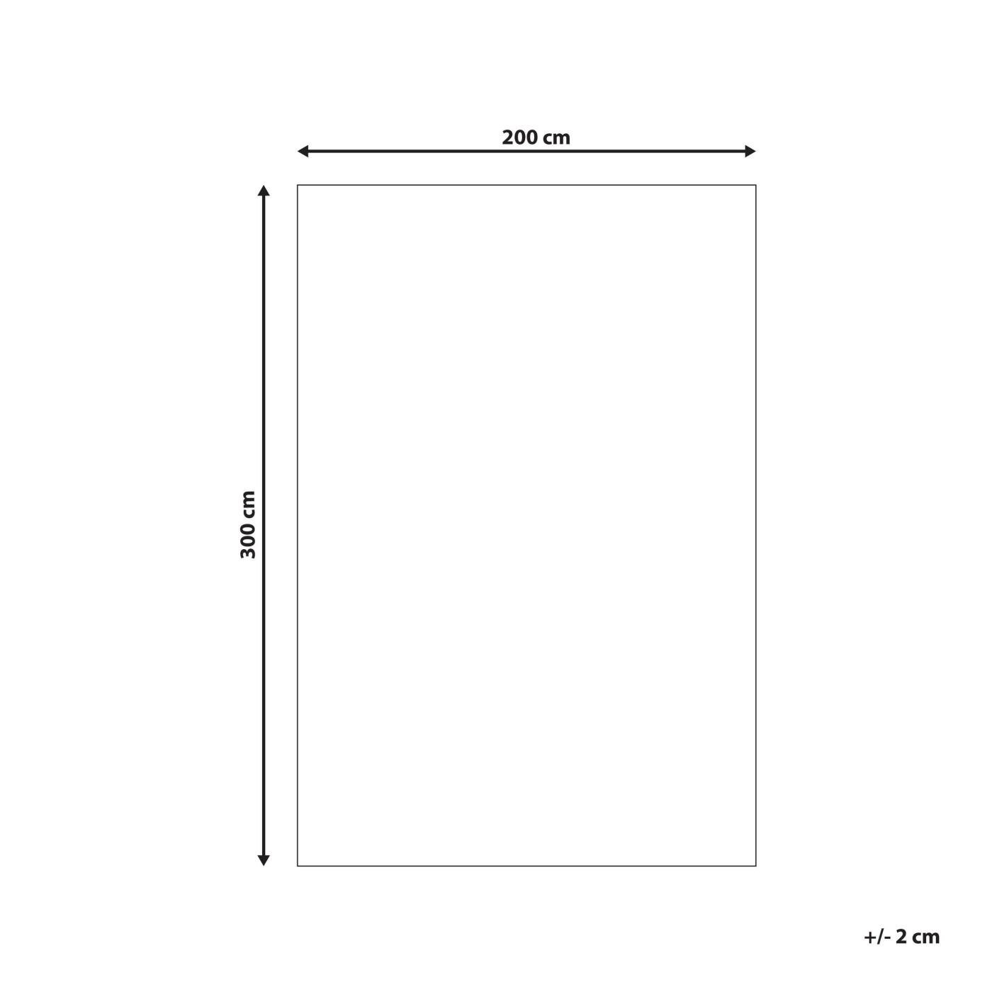 Shaggy szőnyeg DEMRE Szürke 200 x 300 cm - 3