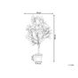 Műnövény LEMON TREE 105 cm Zöld thumbnail 3