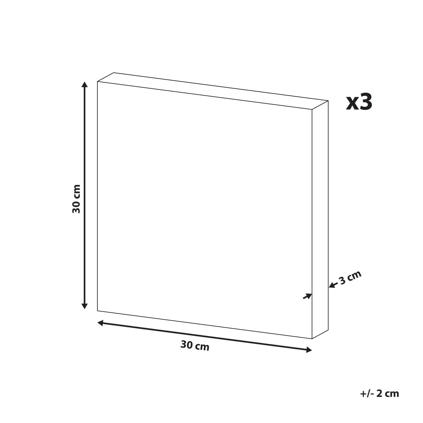 Háromdarabos vászon szett TILLIA Állatmintás 30 x 30 cm Színes - 3
