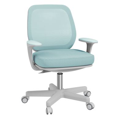 Ergonomikus irodai szék, állítható magasságú, légáteresztő hálós háttámlával, 55x48x82,5-94,5 cm, világoszöld