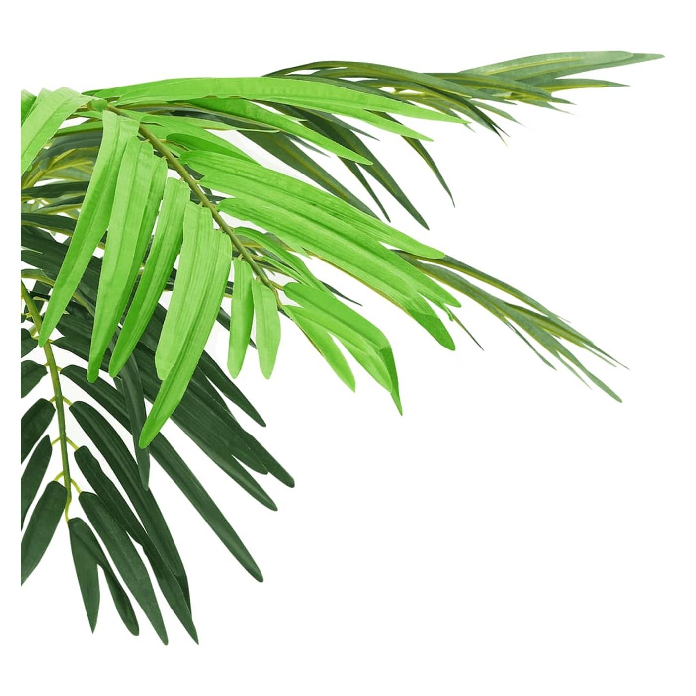 Mfeny plmafa cserpben, zld, 190 cm - 3