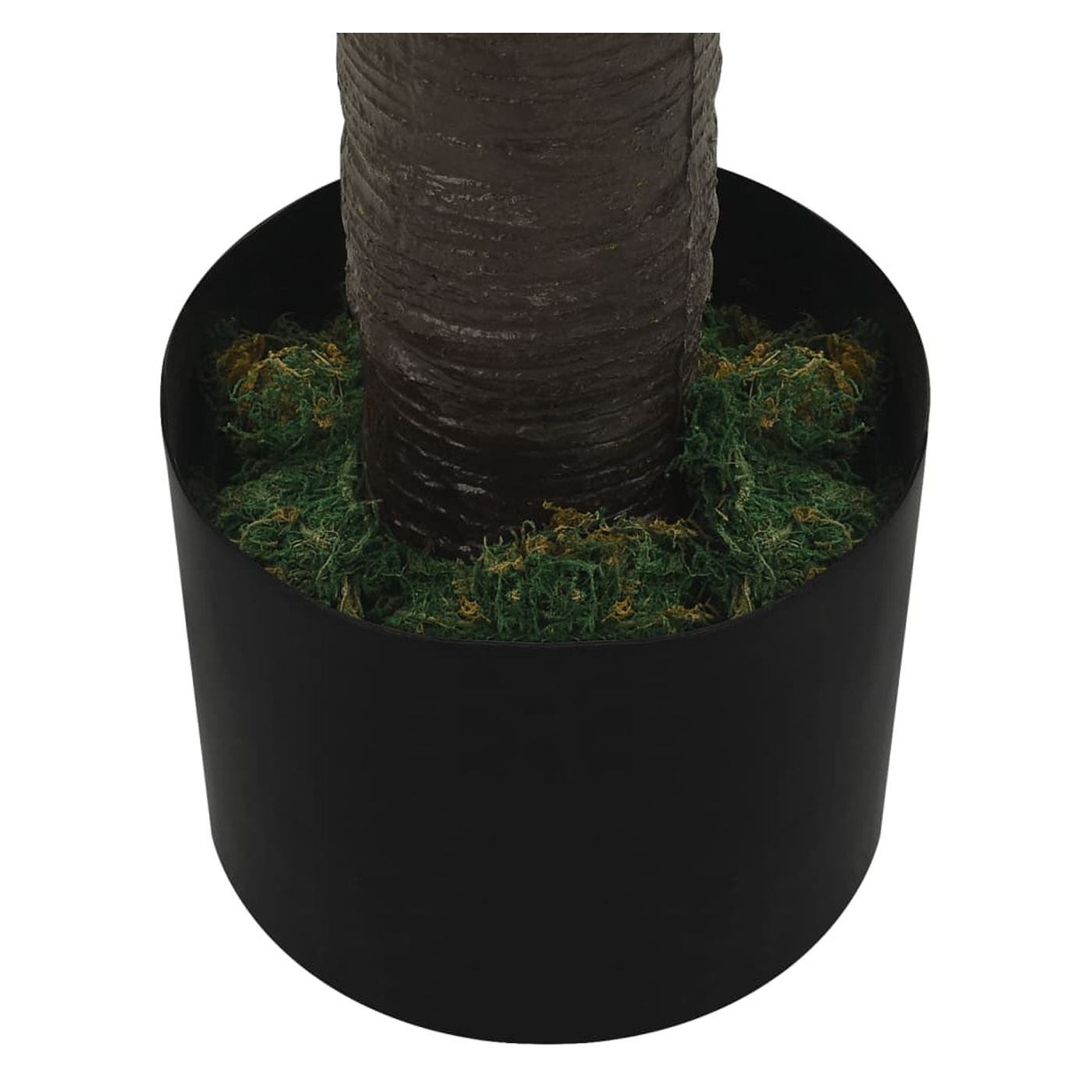 Mfeny plmafa cserpben, zld, 190 cm - 5