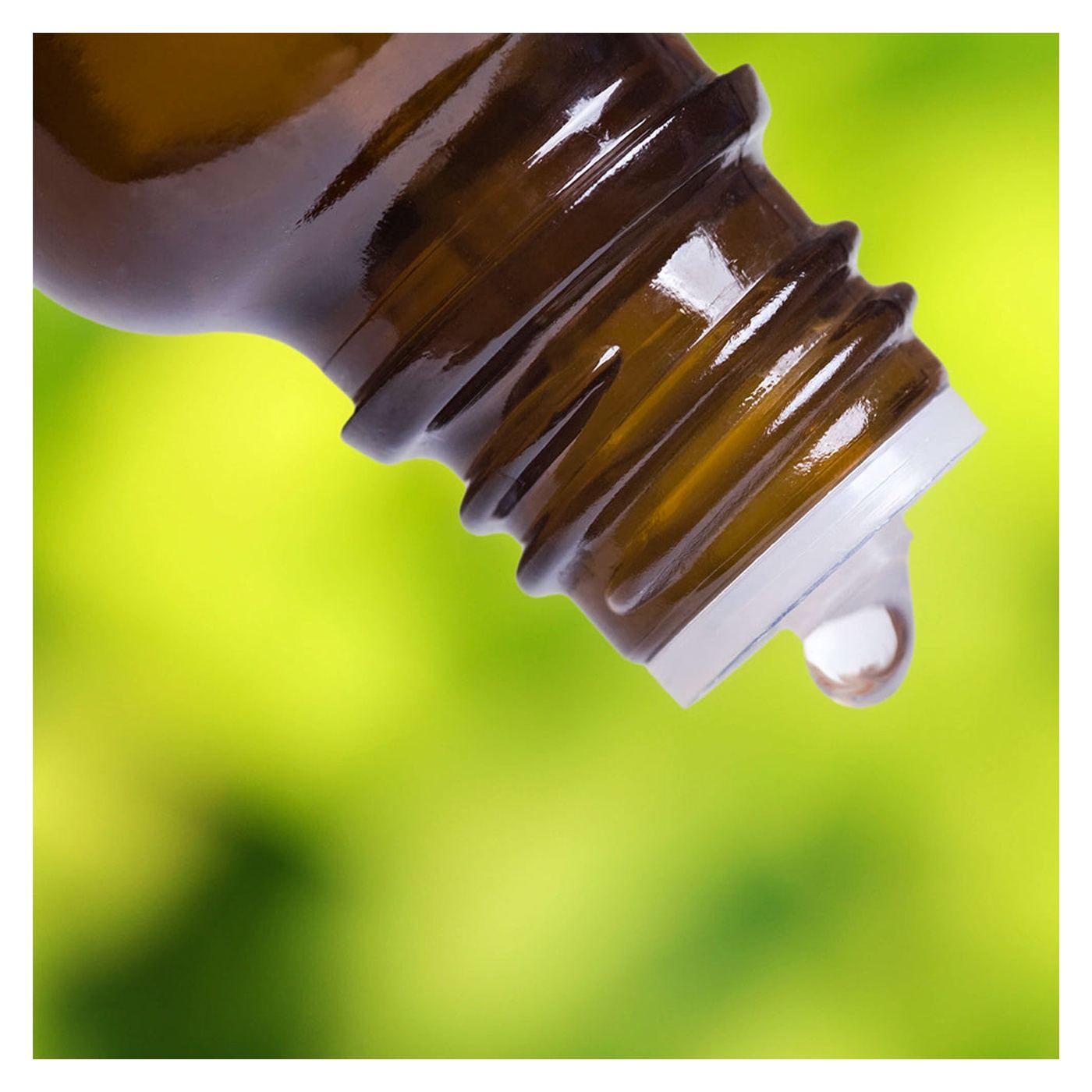 Ulei esential de Ylang-Ylang (Cananga odorata), 100% pur fara adaos, 10 ml - 4
