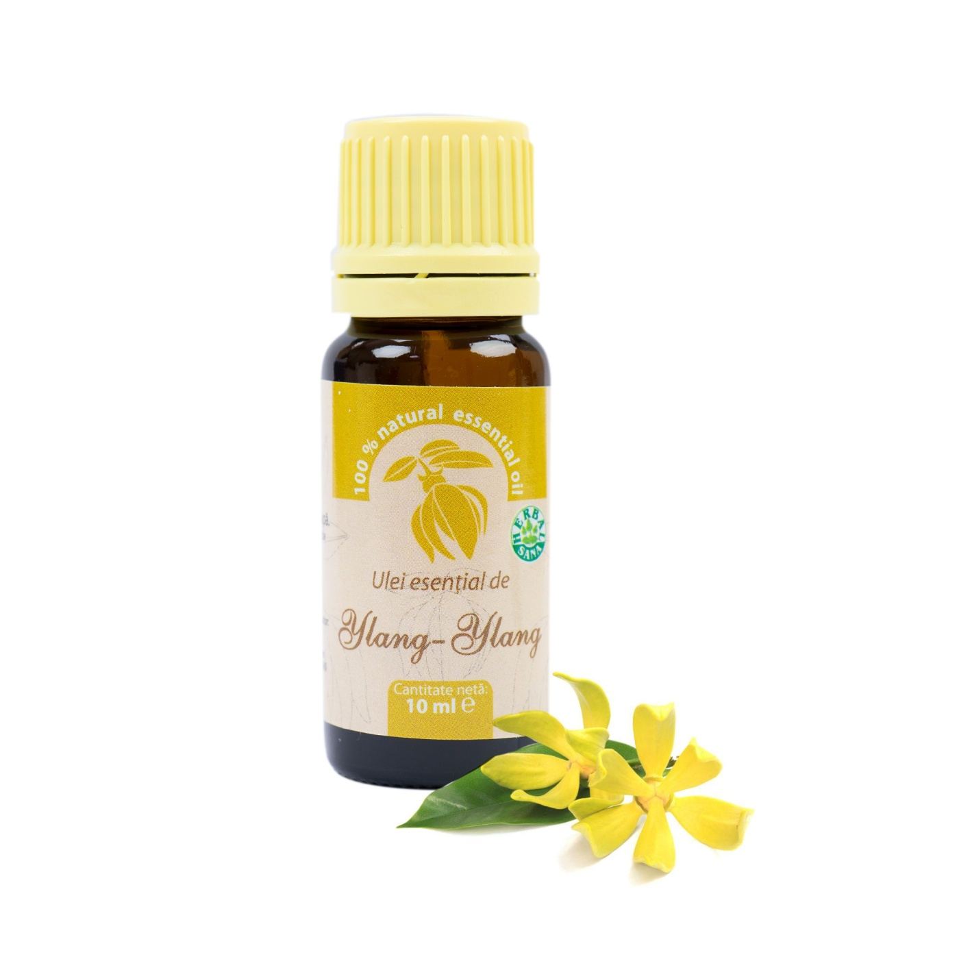 Ulei esential de Ylang-Ylang (Cananga odorata), 100% pur fara adaos, 10 ml - 6