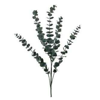Műeukaliptusz Mondex Viridis 80cm zöld 1db