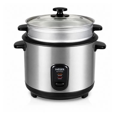 HAEGER RICE & STEAM
