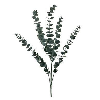 Műeukaliptusz Mondex Viridis 80cm zöld 1db