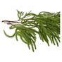 Dekoratív függőág Viridis Ozdobne Gałązki Zwis 90cm zöld 1db thumbnail 2