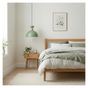 Candelabru, Verde, Stejar thumbnail 3