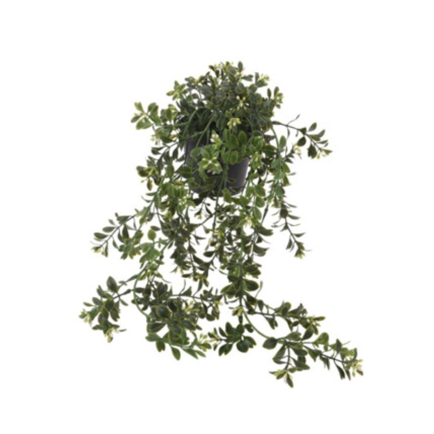 Műnövényes cserép, 50 cm - 5