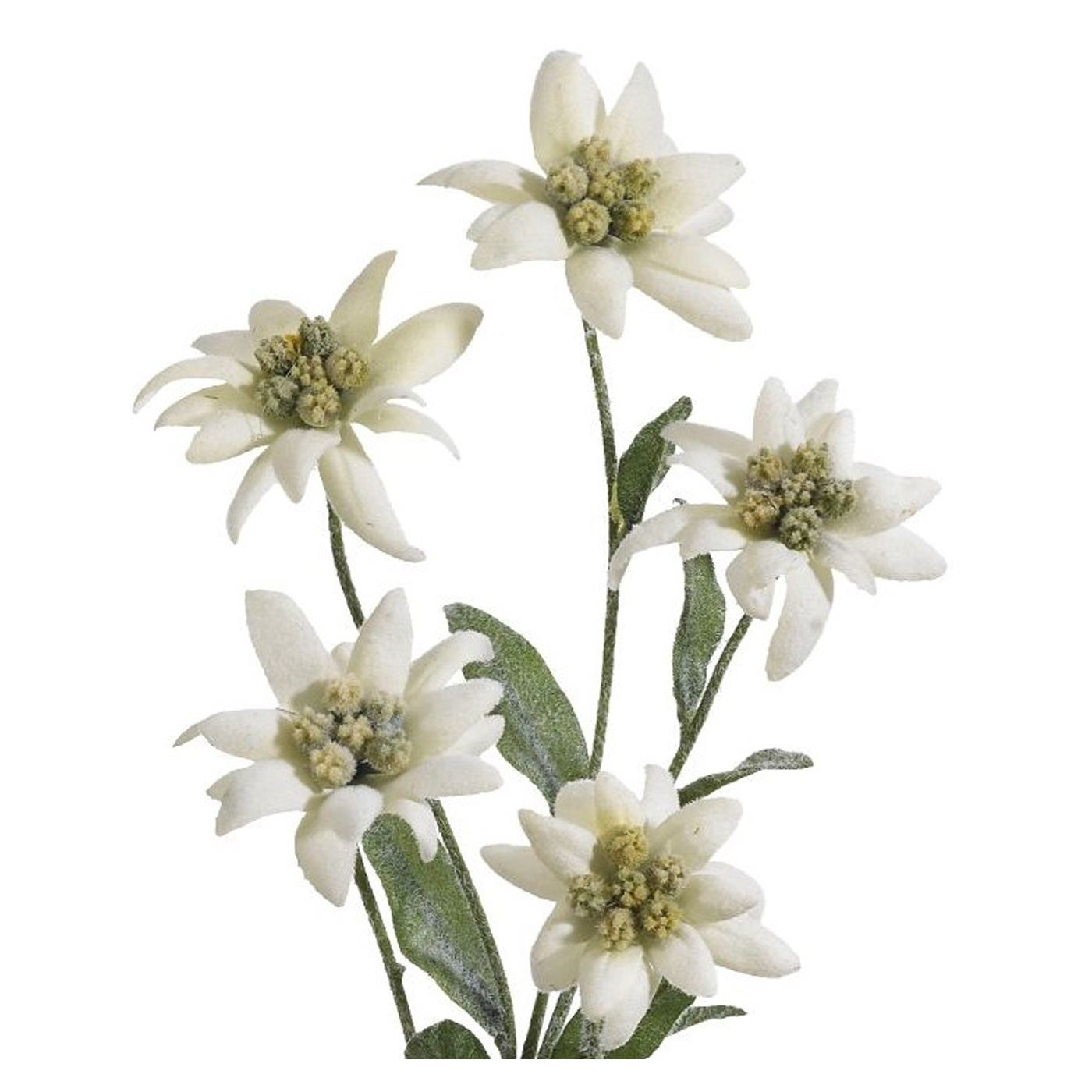 Mesterséges virág Floare de Colt, 37 cm - 2